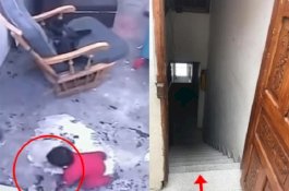 Video Detik-detik Kucing Cegah Bayi Jatuh dari Tangga