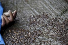 Anak Bunuh Ayah saat Sedang Tidur, Kuburannya Dijadikan Musala dalam Rumah