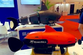 Militer China Punya Kapal Selam Mirip Hiu, Ini Kemampuannya