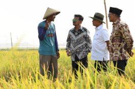 Bareng Moeldoko, Mentan Syahrul Hadiri Panen Raya Padi di Karawang