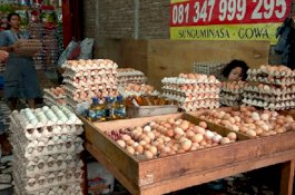 Sehari Jelang Maulid, Harga Telur Ayam Ras Tembus Rp42 Ribu Per Rak