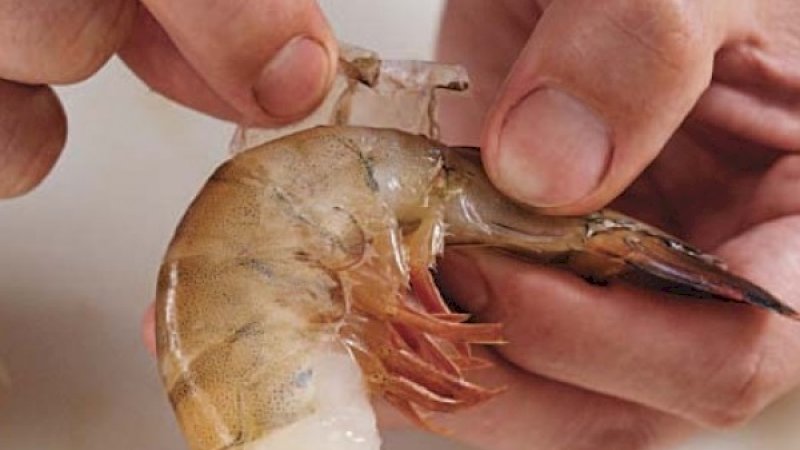 Seorang membersihkan cangkang udang.