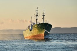 Dua Nelayan Korut Bunuh Kapten dan 15 Temannya Lalu Kabur ke Korsel