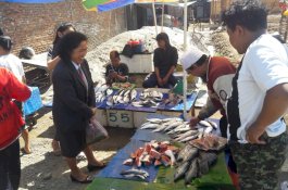 Jelang Natal, Pemkab Toraja Utara Sidak Ikan Berformalin di Pasar To'karau