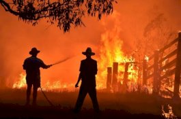 Kebakaran Hutan di Australia Menghancurkan Lebih dari 50 Rumah