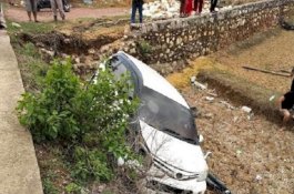 Hindari Sapi Minibus yang Dikendarai Sepasang Muda-mudi Terjun ke Parit