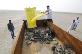 Ribuan Burung Mati di Dekat Danau, Tak Ada yang Tahu Penyebabnya