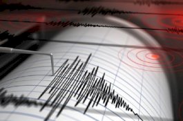 Gempa 7,1 M, Berpotensi Tsunami di Maluku Utara dan Sulut