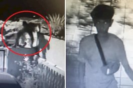 Pria Licik Mendobrak 7 Rumah di Lingkungan Petaling Jaya dalam Satu Malam