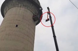 Sapi Memanjat Menara Setinggi 60 Meter, Penyelamat Berjuang 4 Jam untuk Menurunkannya