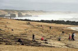 900 Kg Kokain Hanyut di Laut, Orang-orang Padati Pantai di Prancis
