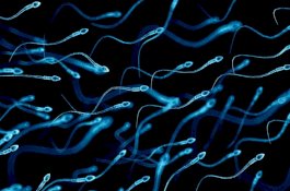 Waspada Teror Pelemparan Sperma ke Wanita