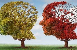 Melek Huruf tetapi Pelupa, Ini Alasan Anda Harus Tetap Bersyukur