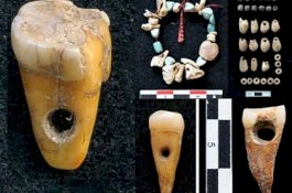 Arkeolog Temukan Perhiasan yang Terbuat dari Gigi Manusia