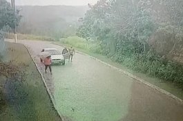 CCTV Rekam Pria Telanjang Turun dari Mobil dan Mengejar Wanita yang Lewat