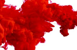 Kok Bisa Darah Tiga Bersaudara Ini Berwarna Putih Susu