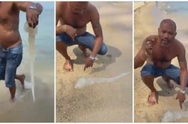 Pria Ini Pegang Ubur-ubur dengan Tangan Kosong, Dia Memberi Tips Jika Tersengat