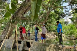 Tindaklanjuti Aspirasi Petani Belawa, Legislator Termuda Wajo Ini Akan Tinjau Sungai Bila