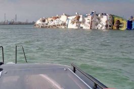 Kapal Kargo Berisi 14.600 Domba Terbalik di Laut Hitam