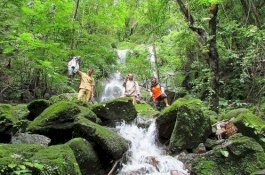 Kisah Miris Guru Honorer SD Terpencil di Pangkep, 11 Tahun Mengabdi tapi Tak Bisa Daftar CPNS
