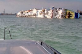 Angkut 14 Ribu Domba Menuju Jeddah, Kapal Terbalik di Perairan Rumania