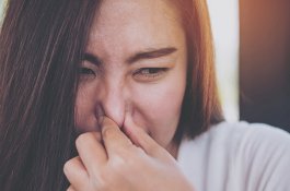 Bau Busuk dari Tempat Tidur Ungkap Kasus Pembunuhan Terhadap Istri