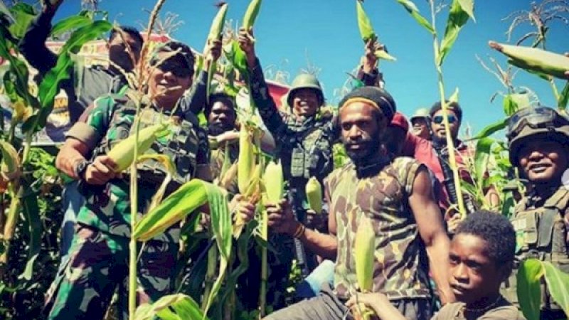 Telangga Gire (kedua kanan) bersama aparat TNI dari Kodam XVII Cenderawasih, melakukan panen jagung perdana.