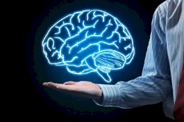 Dokter Temukan Cacing Pita di Otak Pria Ini, Ternyata Dia Habis Makan Babi