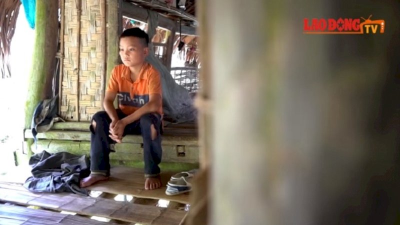 Kisahnya Viral, Bocah 10 Tahun di Vietnam Ngotot Hidup Sendiri dari Berkebun