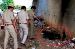 Tubuh Dokter Hewan Cantik Itu Hangus Tak Berbentuk, Warganet Ungkap Fakta Menyedihkan