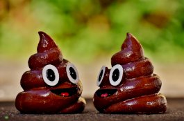 Pakai Kotoran Manusia, Pria Ini Serang Mahasiswa di Perpustakaan