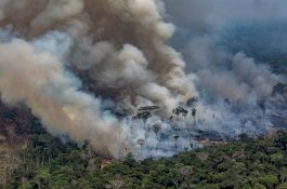 Presiden Brasil Tuduh Leonardo DiCaprio Tanggung Jawab Kebakaran Hutan Amazon