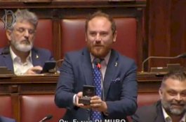 Lagi Rapat, Anggota Dewan di Italia Lamar Kekasihnya