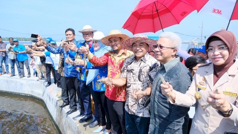 Wagub Sulsel, Menteri Kelautan dan Perikanan, serta Bupati Barru, menunjukkan udang vaname yang dipanen.