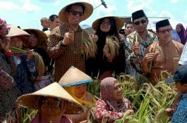 Duet 'Kacamatayya' di Panen Raya Warga Kindang, Tomy Mulai 'Lirik' Andi Soraya?