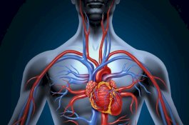 5 Makanan yang Baik untuk Meningkatkan Sirkulasi Darah