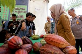 Hari Pangan Sedunia, IDP Ajak Lestarikan Sagu