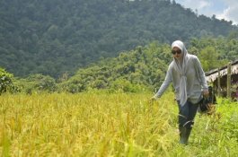 Indah Putri Indriani: Terimakasih Pak JK