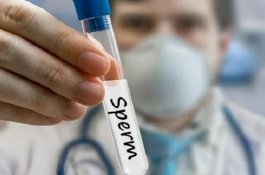 Bank Sperma di Selandia Baru Terima Pendonor dengan HIV