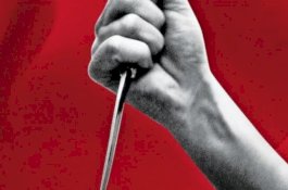 Baru Dibebaskan Dengan Jaminan, Pria ini Bunuh Remaja yang Telah Melaporkannya