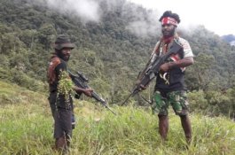 Ditelepon Saat Sedang Perang, Bos OPM Semprot Kurir TPNPBNews