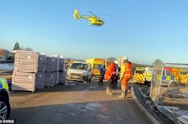 Operator Alat Berat Gunakan Belalai Ekskavator Pukul Pekerja