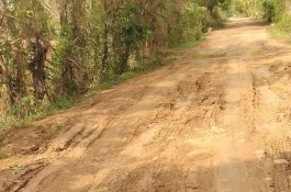 Jalan di Kampung Rusak Parah, Guru di Pangkep Curhat di Medsos