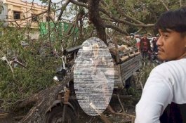 Pulang Jual Kelapa dari STIEM Bongaya, Warga Bajeng Tewas Tertusuk Pohon Tumbang