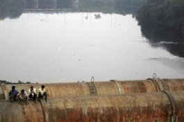 Ayah Angkat Dibunuh oleh Putri yang Dia Adopsi, Tubuhnya Dimutilasi