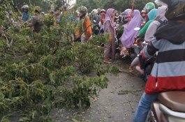 Jenazah Korban Pohon Tumbang Dimakamkan, Ponakan Lapor Bupati