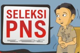 Kabar Gembira! Pendaftaran CPNS akan Dibuka Lagi Tahun Depan