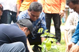 Galakkan Penghijauan, Bupati Barru Ikuti Penanaman 10.000 Pohon