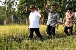 Baru Sadar Belum Makan saat Gemetar, Berat Badan Mentan SYL Turun Hampir 2 Kg