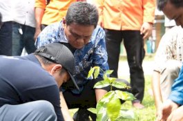 Bupati Barru Tanam 10 Ribu Pohon di Pantai Sumpang Binanage